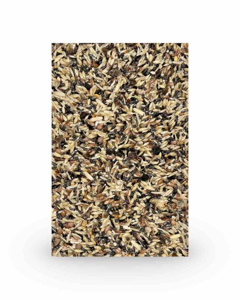 Feine Saaten Waldvogel